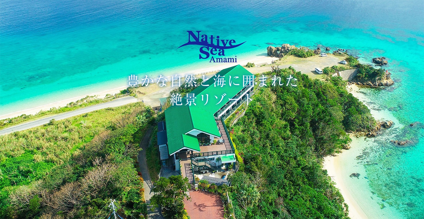 奄美のホテル ネイティブシー奄美 公式 奄美大島の宿泊 旅行観光にもおすすめ 公式
